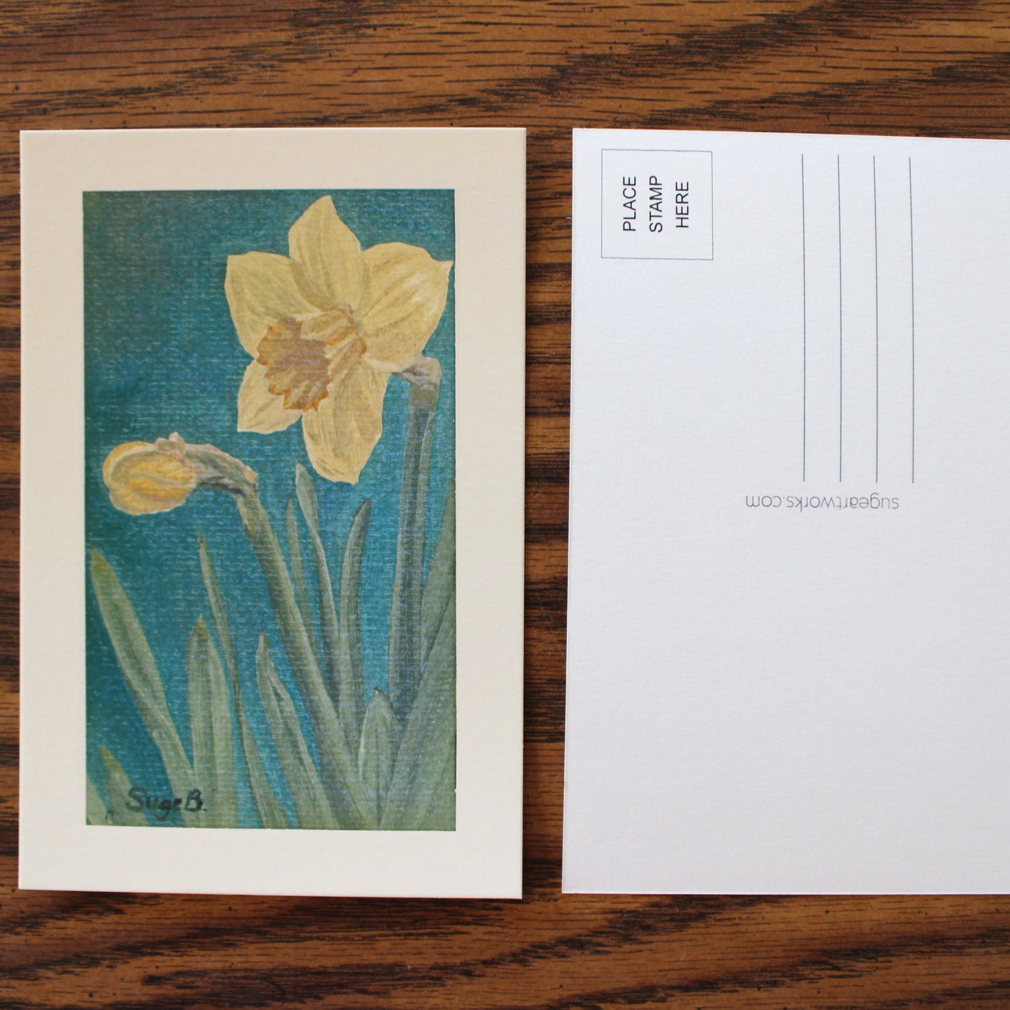 Daffodil Postcard