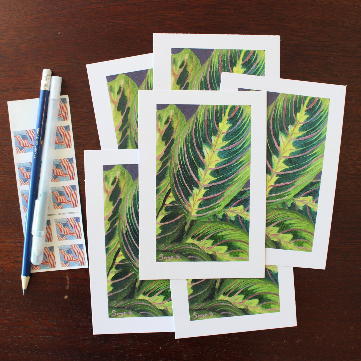Prayer Plant Postcard