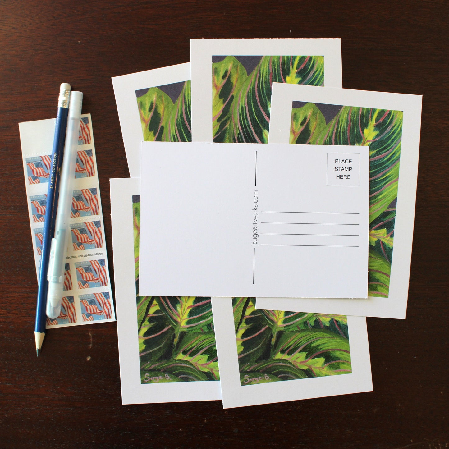 Prayer Plant Postcard
