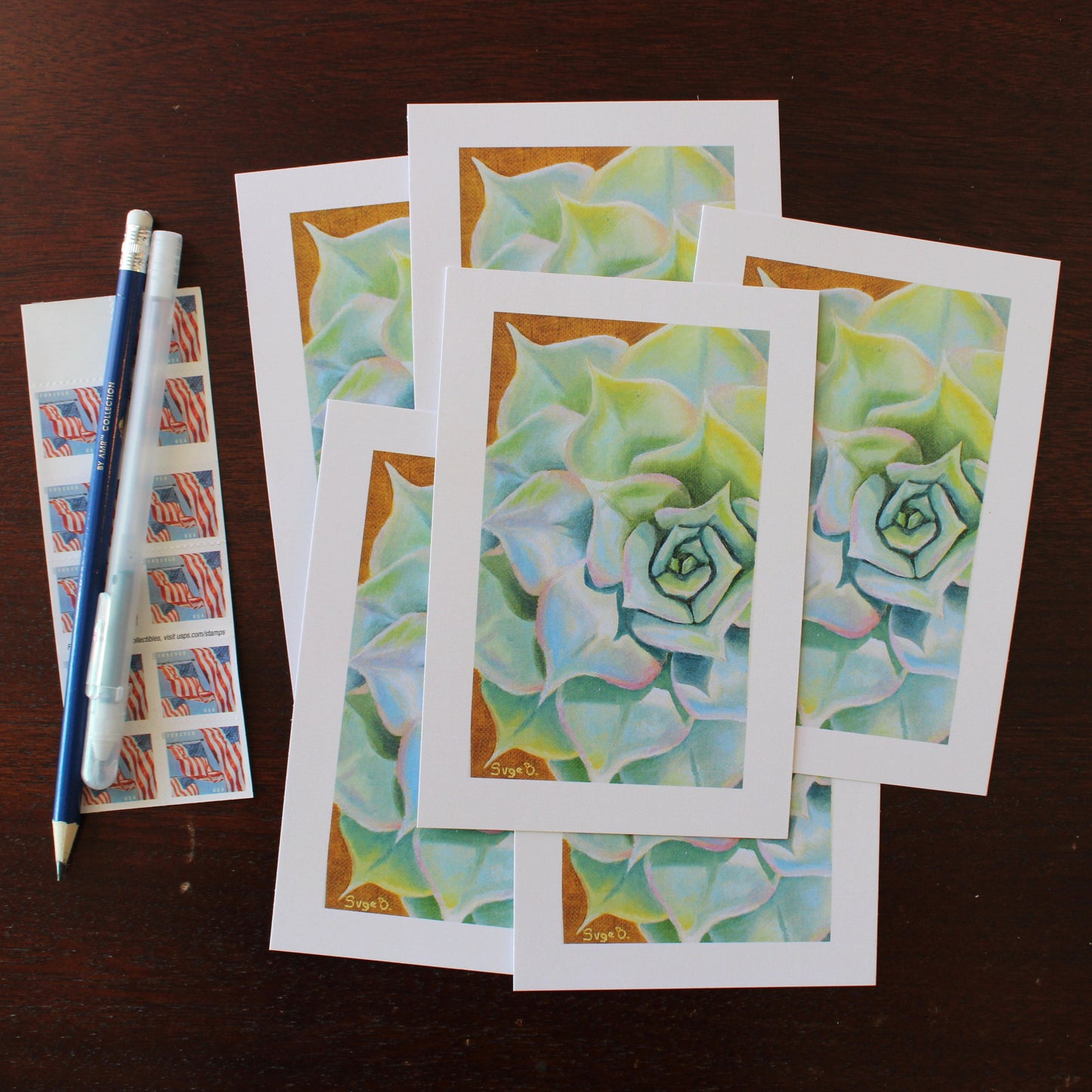 Rainbow Succulent Postcard