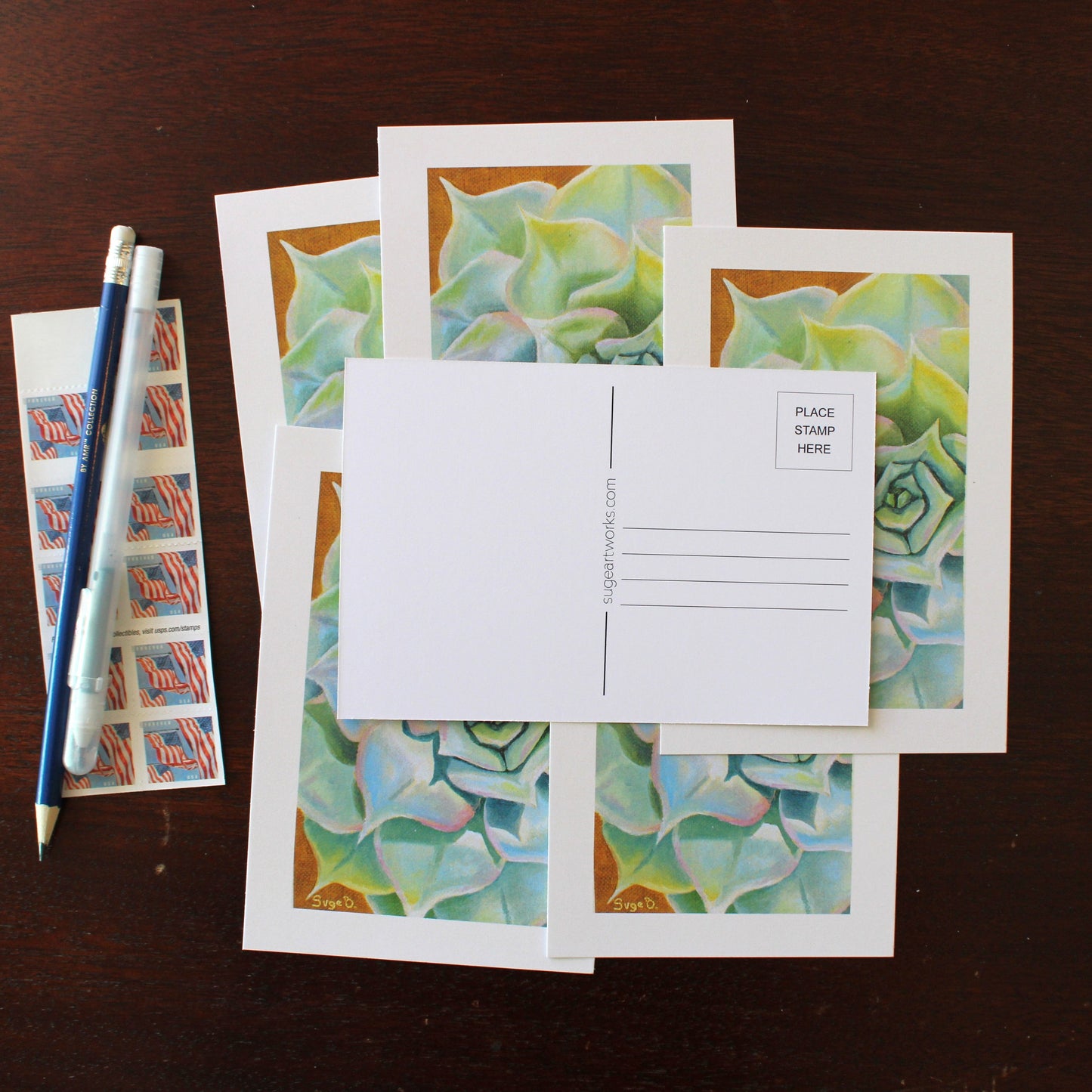 Rainbow Succulent Postcard