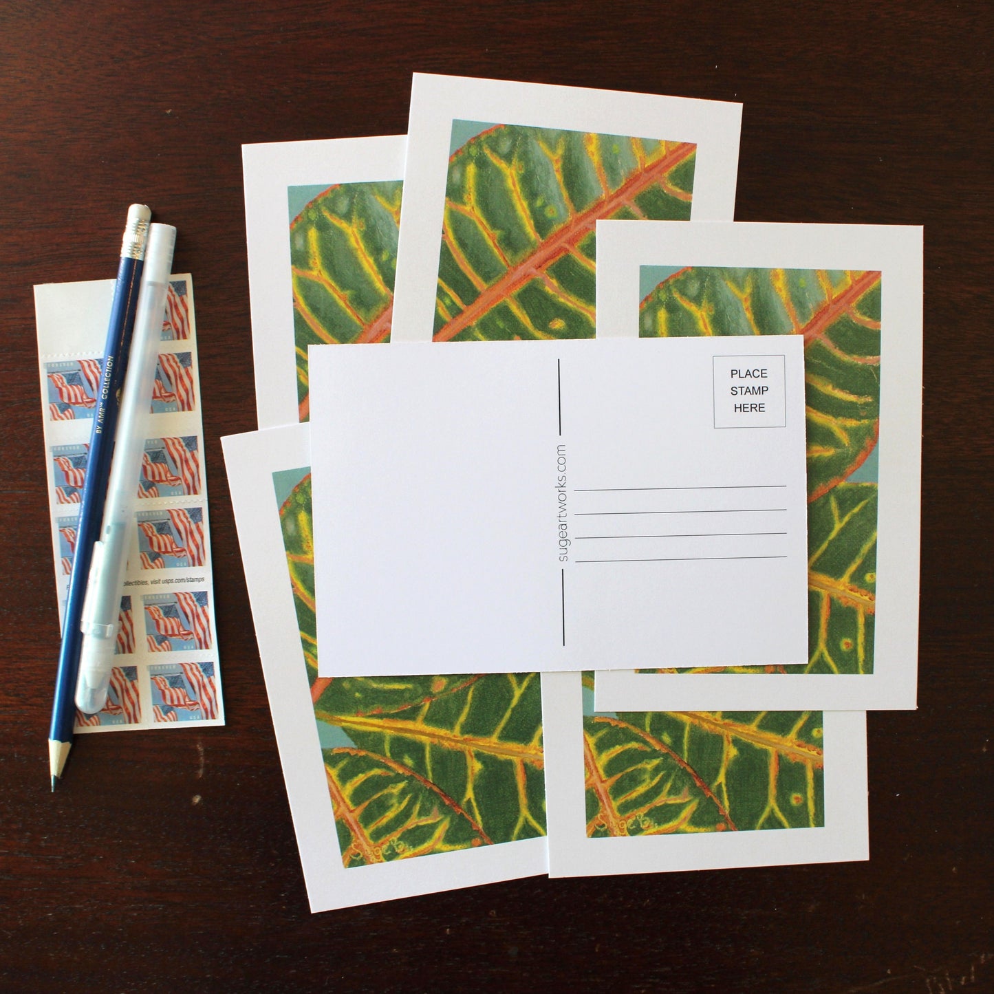 Red Croton Postcard