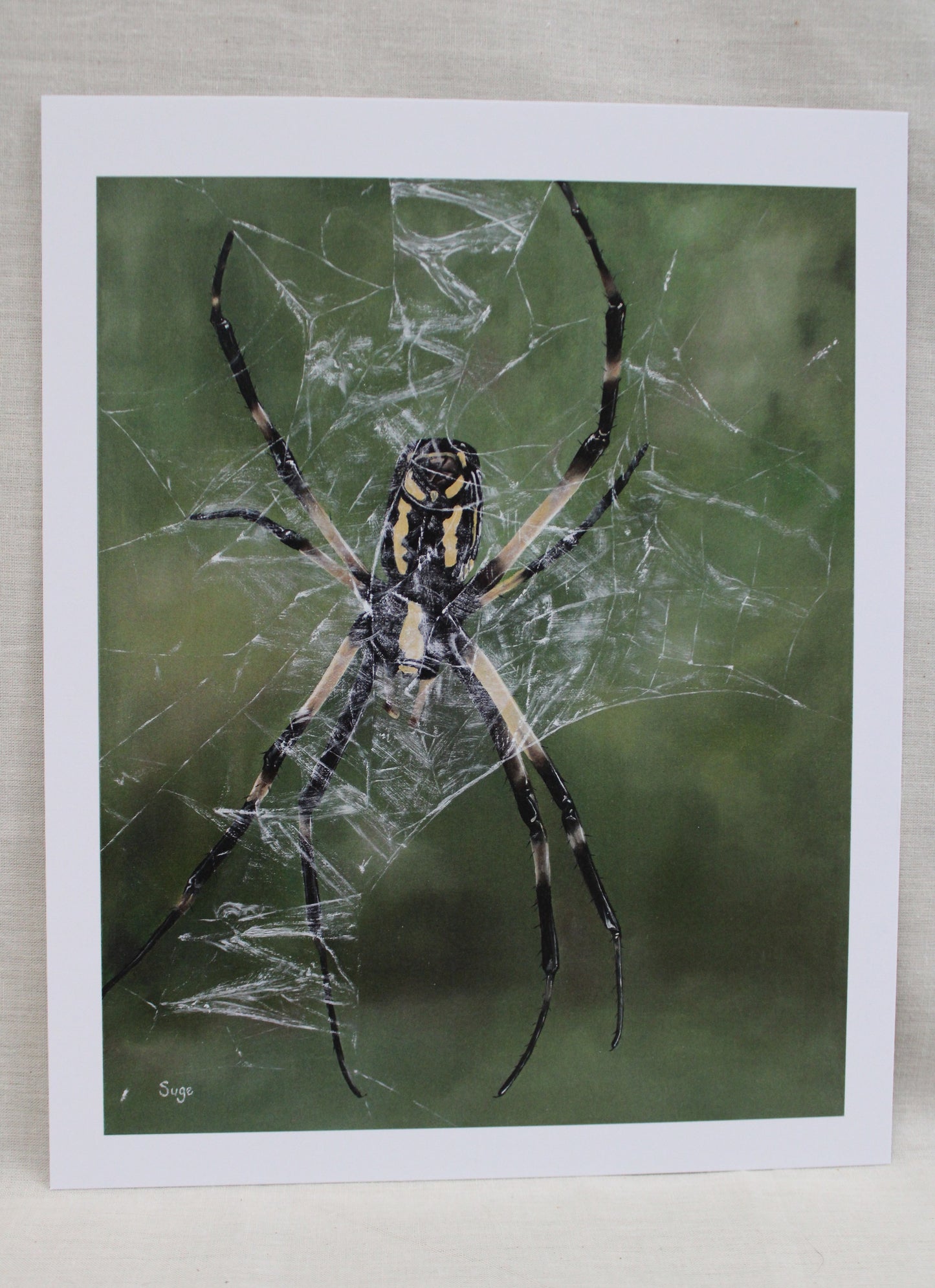 Spider Paper Print