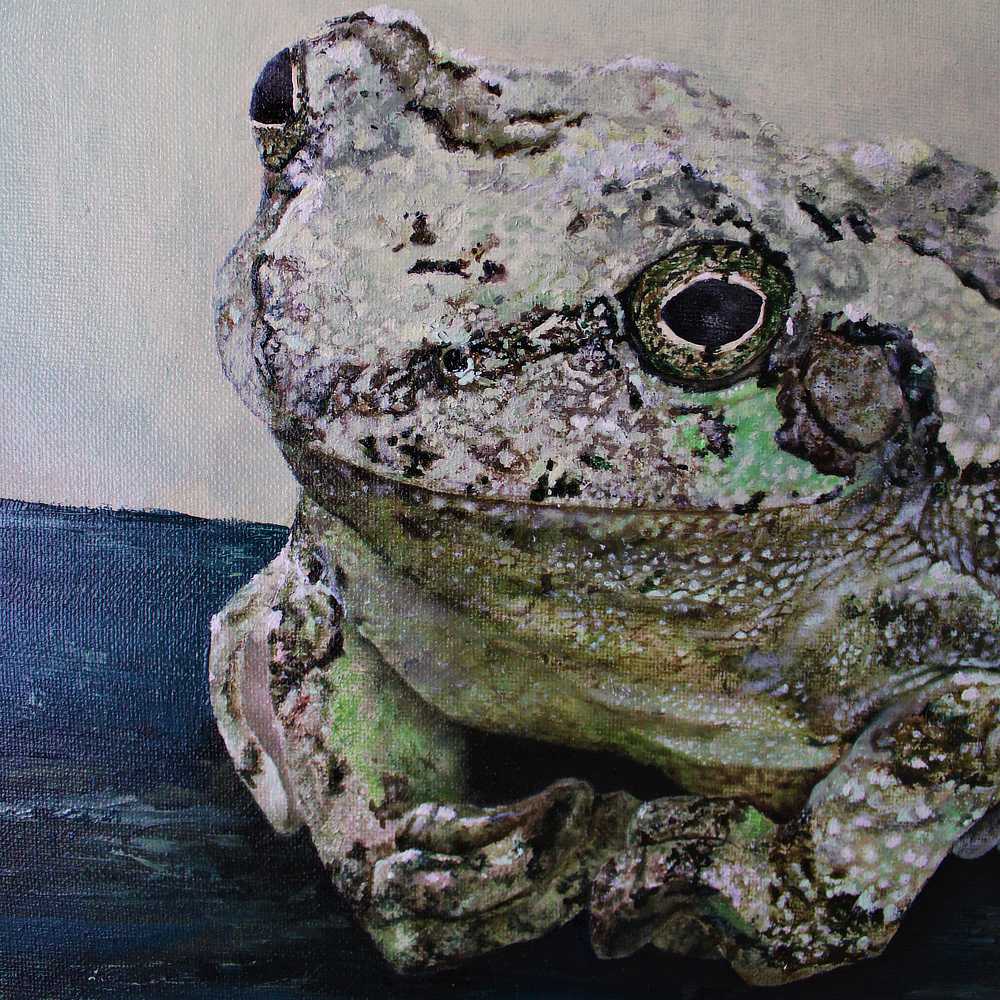 Froggy - Original Painting