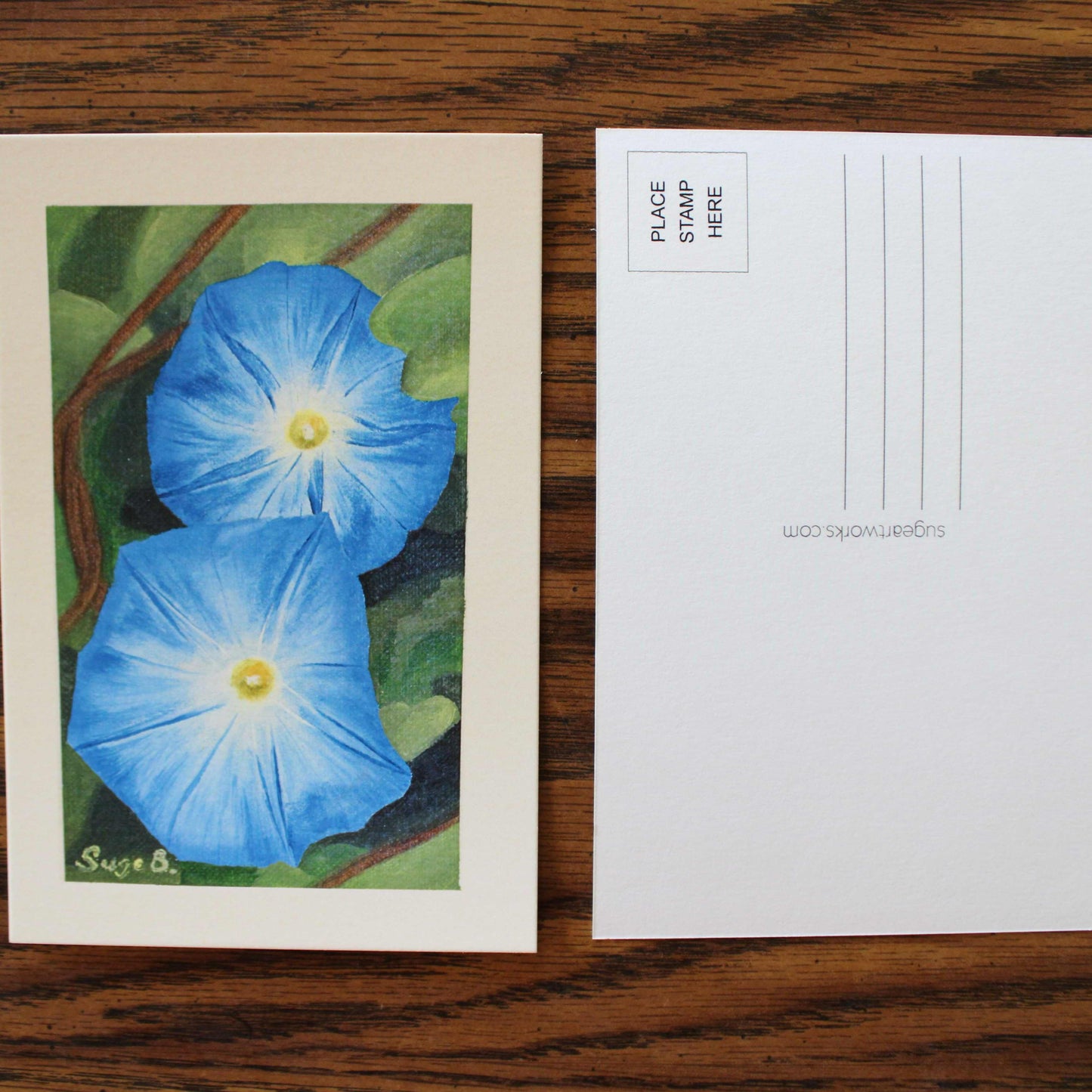 Morning Glory Postcard