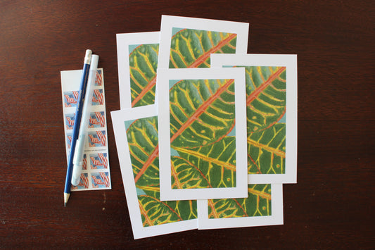 Red Croton Postcard