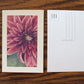 Dahlia Flower Postcard