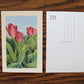 Tulips Postcard