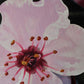Blossoming Bliss - Original Painting