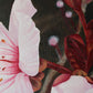 Blossoming Bliss - Original Painting