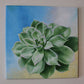 Succulent - Original Painting